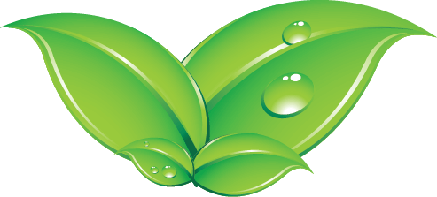 https://spa-kb.co.il/wp-content/uploads/2017/02/cropped-logo-02.png